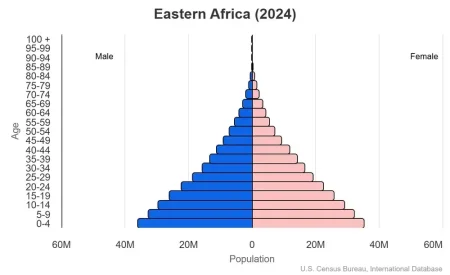 This is a population pyramid for the countries in East Africa (2024).