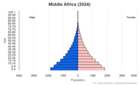 This is a population pyramid for the countries in Central or Middle Africa. These countries are Angola, Cameroon, Central African Republic, Chad, Democratic Republic of Congo, Republic of the Congo, Equatorial Guinea, Gabon, Sao Tome and Principe.