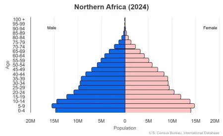 This is a population pyramid for the countries in North Africa (2024).