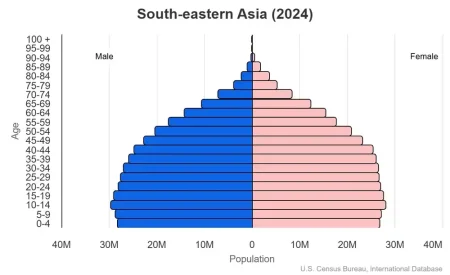 This is a population pyramid for the countries in Central or Middle Africa. These countries are Brunei, Burma, Cambodia, Indonesia, Laos, Malaysia, Philippines, Singapore, Thailand, Timor-Leste, Vietnam