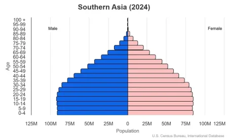 This is a population pyramid for the countries in southern Asia. These countries are Afghanistan, Bangladesh, Bhutan, India, Iran, Maldives, Nepal, Pakistan, Sri Lanka.